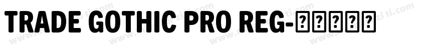 TRADE GOTHIC PRO REG字体转换